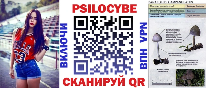 Псилоцибиновые грибы MAGIC MUSHROOMS купить наркотик Перевоз