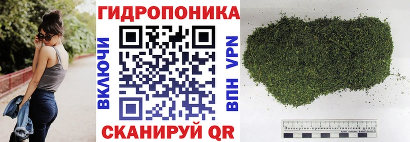 Конопля сатива  Перевоз 
